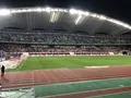デンカビッグスワンスタジアムの写真_227348