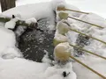 玉造温泉の写真_227793
