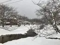 玉造温泉の写真_227798