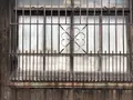 肥前浜宿 酒蔵通りの写真_228343