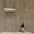 砂の美術館の写真_228394