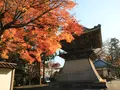西教寺の写真_228853