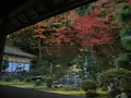 西教寺の写真_228854
