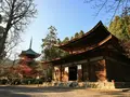 長等山 園城寺（三井寺）の写真_228860