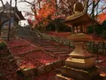 長等山 園城寺（三井寺）の写真_228861