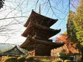 長等山 園城寺（三井寺）の写真_228869