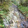 石鎚山の写真_229133