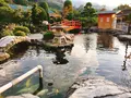 りんりんパークーの写真_229174