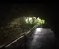 ガンガラーの谷の写真_229570