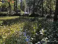 羽黒山の写真_229931