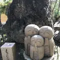 宝徳寺の写真_229976