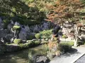 宝徳寺の写真_229977