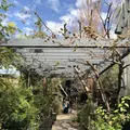 GARDEN HOUSE Kamakura（ガーデンハウス）の写真_230162