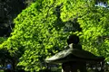 谷汲山　華厳寺の写真_230195