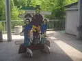 道の駅　近つ飛鳥の里・太子の写真_23047