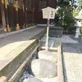 千葉神社の写真_231150