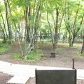 軽井沢高原教会の写真_231507