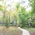 軽井沢高原教会の写真_231508