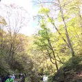 白糸の滝の写真_231638