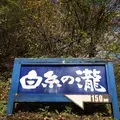 白糸の滝の写真_231639