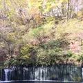 白糸の滝の写真_231643