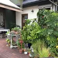 ナチュラル カフェイーナの写真_231908