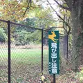軽井沢タリアセンの写真_231927