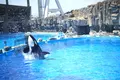 名古屋港水族館の写真_232333