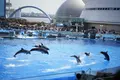 名古屋港水族館の写真_232334