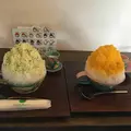 瑠庵+島色の写真_232741