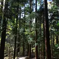 円山公園の写真_232764