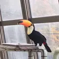 円山動物園の写真_232775