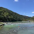 渡月橋の写真_232877