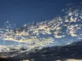 琵琶湖の写真_232900