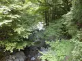 音水渓谷の写真_233600
