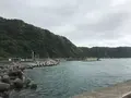 伊豆大島の写真_233697