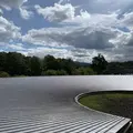 鳥取県立フラワーパークとっとり花回廊の写真_234862
