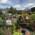 鳥取県立フラワーパークとっとり花回廊の写真_234865