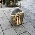地主神社の写真_234876