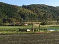 豊玉姫陵の写真_235027