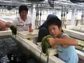 久米島海洋深層水開発（株）の写真_235651