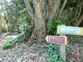 番所鼻自然公園の写真_235793