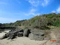 番所鼻自然公園の写真_235796