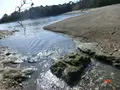 番所鼻自然公園の写真_235797