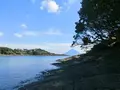 番所鼻自然公園の写真_235798