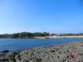 番所鼻自然公園の写真_235802