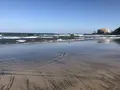 鬼の洗濯板の写真_236030