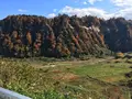 四ケ村の棚田の写真_236214