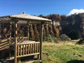 四ケ村の棚田の写真_236217