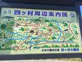 四ケ村の棚田の写真_236218